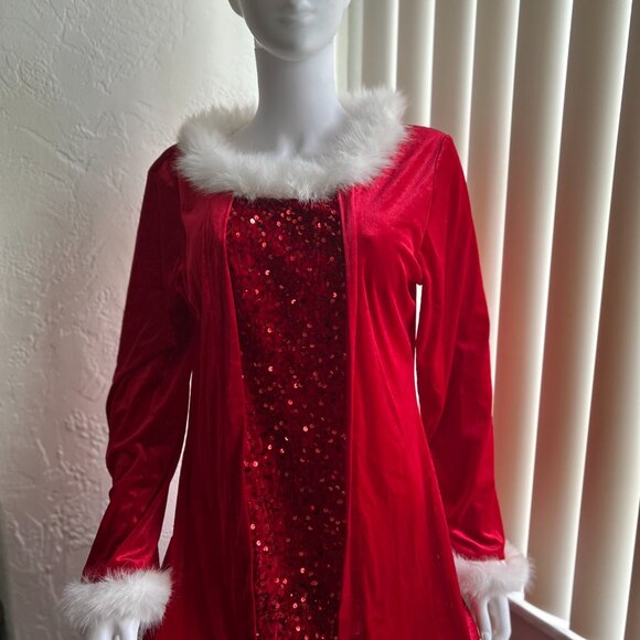 Private Label Dresses & Skirts - NEW Christmas Dress w/ Sequins  34 Bust So Gorgeous